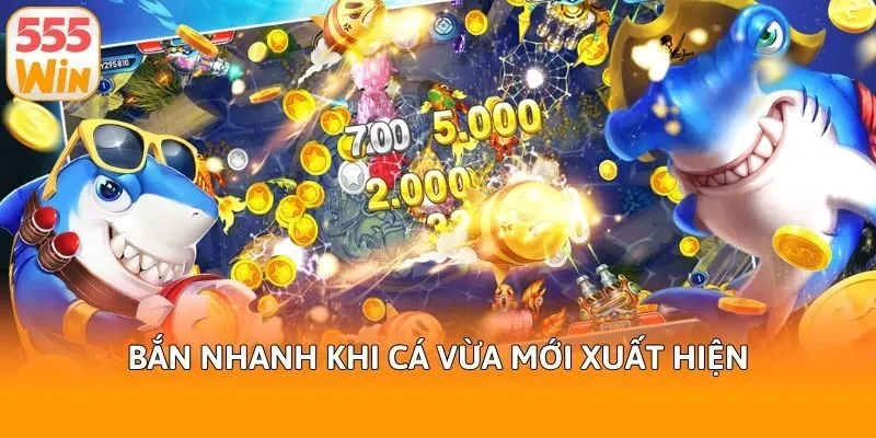 Bắn nhanh khi cá vừa mới xuất hiện