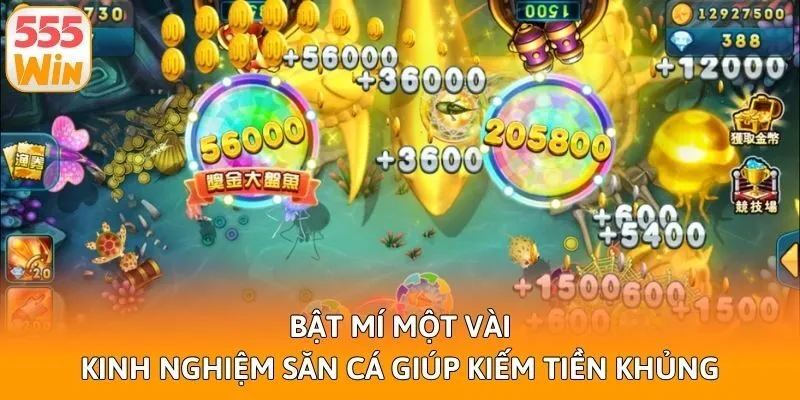 Bật mí một vài kinh nghiệm săn cá giúp kiếm tiền khủng