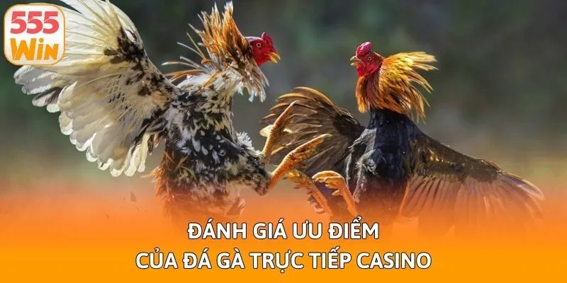 Đánh giá ưu điểm của đá gà trực tiếp casino